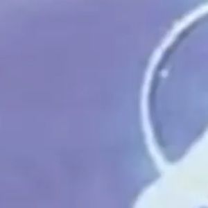 Meet your Posher, Alexia